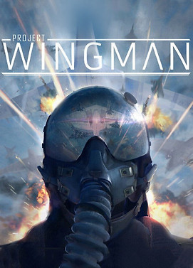 سی دی کی اورجینال Project Wingman